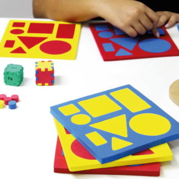 Programa Educacional