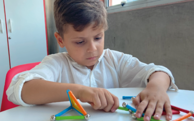 Diagnóstico das Aprendizagens em Matemática com Materiais Concretos da MMP
